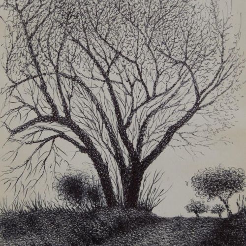 Landscape - XVI | Ball Pen on Paper | 25 x 17.5 CM | 1998 | Available | Price: Contact Us 