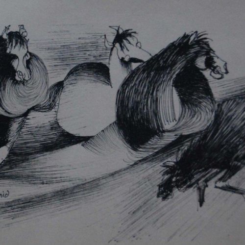 Running horses - XII | Ink Pen on Paper | 28 x 18 CM | 1978 | Available | Price: Contact Us