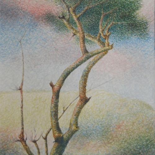 Landscape - I | Water Color on Paper | 54 x 37 CM | 2004 | Available | Price: Contact Us 