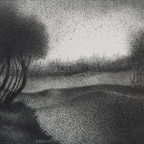 Landscape - XXXVI | Ball Pen on Paper | 30 x 26 CM | 2011 | Available | Price: Contact Us 
